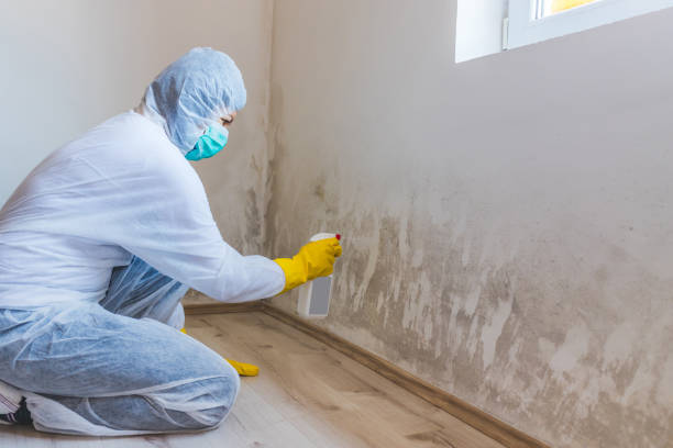 Mold Remediation specialist working in Colmar